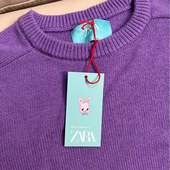 NWT - Zara x Harry Lambert 100% Wool Crew Neck Sweater - Size M - Picture 8 of 10